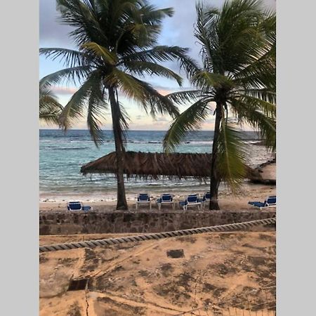 Le Ti Cocotiers T3 En Rdc Meuble Leilighet Saint-Francois  Eksteriør bilde